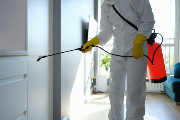 Best Certified Mold Removal  in Kentland, IN