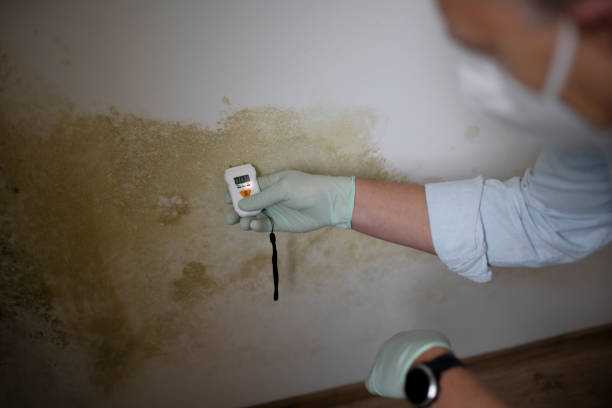 Crawl Space Mold Removal in Kentland, IN